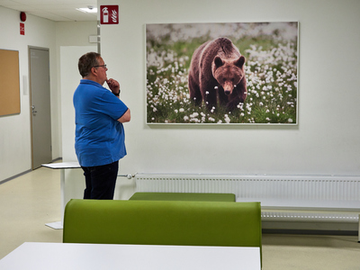 Nature Photos Of Jouko Lehto Are Used As Wall-art At Emakoski School, Nokia.